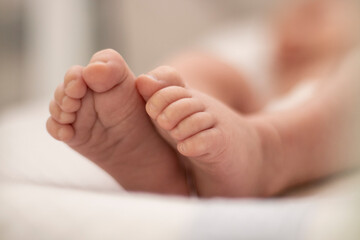 baby feet, small toes close up