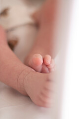 baby feet, small toes close up