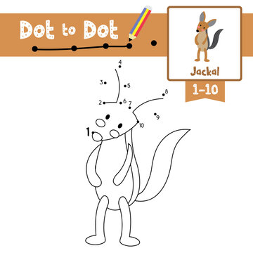 Dot to dot educational game and Coloring book Jackal standing on two legs animal cartoon character vector illustration