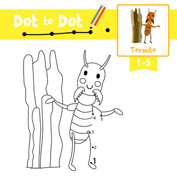 Dot to dot educational game and Coloring book Termite animal cartoon character vector illustration