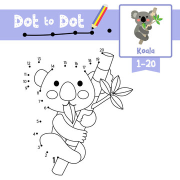 Dot to dot educational game and Coloring book Koala bear animal cartoon character vector illustration