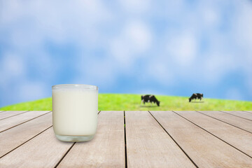 Cow's milk in a glass placed on wooden table in front of blurred milk cow eating grass on top of the mountain at farm. Can be used for display or montage for show your products.