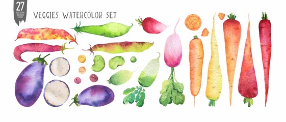 Watercolor eggplant, carrots, soya pods set isolated on white. Handdrawn fresh veggies. Colorfull bright summer set for design textile, wallpapers, print and banners.
