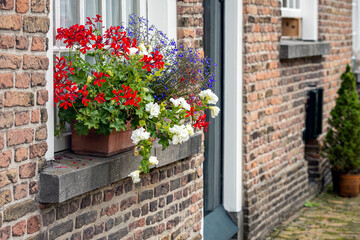 Colorful red, white, and blue flowers in the windowsill of a small house in the historic beguinage in the Dutch city of Breda, province of North Brabant. It is a sunny day in the summer season.