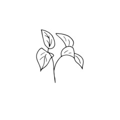 dried flowers, dry grass on a white background,Hand drawn engraving illustration, minimalism style. Ikebana.