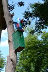 Green birdhouse in the courtyard of the city of Kaluga