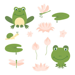 Set of cartoon cute green frog. Funny different frogs with snails, aquatic plants, lily leaf and dragonfly.