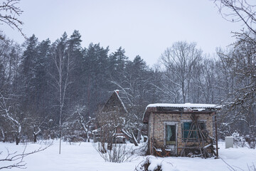 A garden house stands on a snow-covered garden plot,  forest background