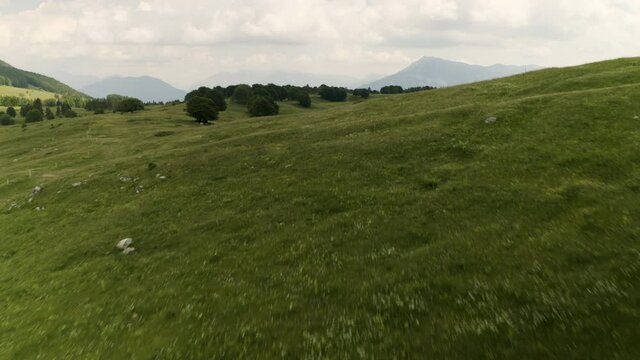 Aerial drone footage of large field in the Italian Alps of Trentino - Monte Bondone