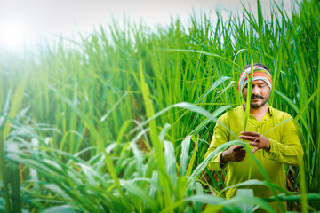 Young indian farmer talking on mobile phone at sugarcane field, talking on phone and laughing too...