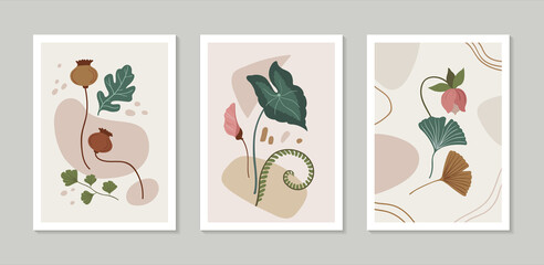 Botanical flat posters.
