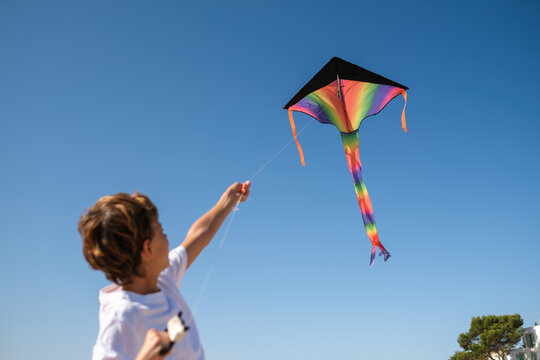 Kid with kite in summer day