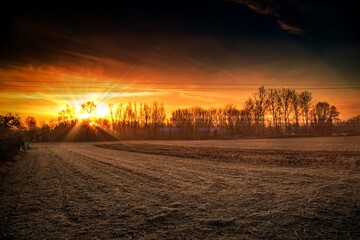 Golden Sun