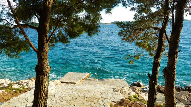 Vuiew beyond pine trees on empty stone terrace with ladder into the sea against blue sky - Dolaske beach, Draga, Croatia