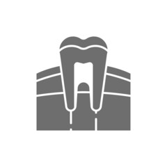 Tooth, gum, dentist, human organ grey icon.
