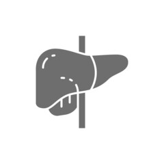 Liver, human organ grey icon. Isolated on white background
