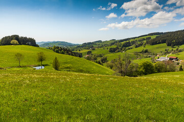 Fototapeta na wymiar Hüglige Landschaft im Schwarzwald mit verstreut liegenden Bauernhöfen, Baden-Württemberg, Deutschland