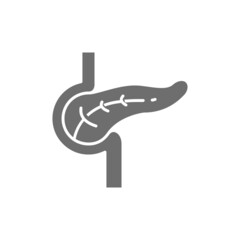 Pancreas, human organ grey icon. Isolated on white background