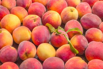 A lot of fresh peach close-up. Fruit peach background