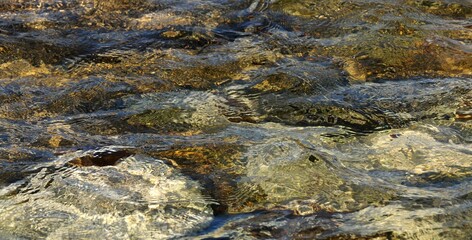 la transparence de l'eau à Lesconil en Finistère Bretagne France	
