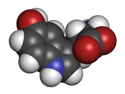 5-Hydroxytryptophan amino acid molecule. 3D rendering.
