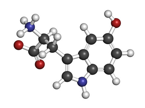 5-Hydroxytryptophan amino acid molecule. 3D rendering.