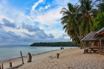 beach with palm trees