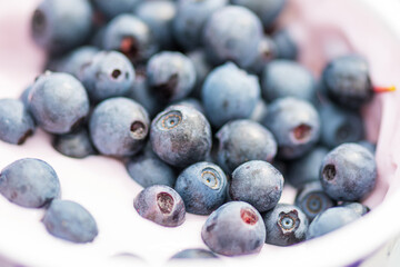 Bowl or cup with white yogurt or yoghurt and fresh organic wild ripe blueberries, close up