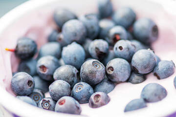 Bowl or cup with white yogurt or yoghurt and fresh organic wild ripe blueberries, close up