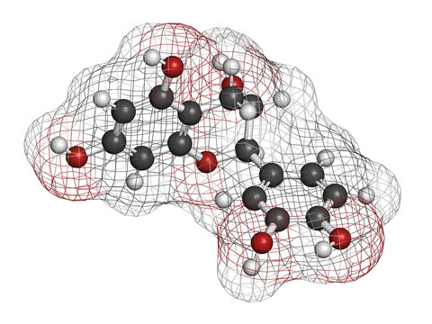 Catechin 이미지 찾아보기 2,866 스톡 사진, 벡터 및 비디오 Adobe Stock