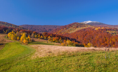 Naklejka premium View of hills of Water Dividing ridge