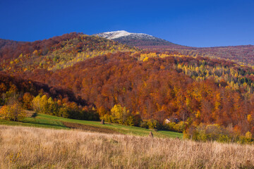 Fototapeta premium View of hills of Water Dividing ridge