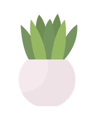 Small tabletop plant semi flat color vector object. Potted houseplant. Full sized item on white. Office table decoration isolated modern cartoon style illustration for graphic design and animation