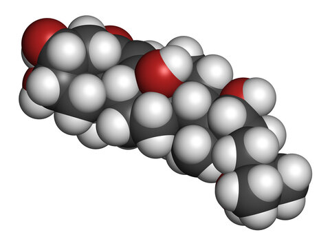 Ecdysone insect molting prohormone. 3D rendering.