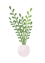 Growing indoor plant semi flat color vector object. Full sized item on white. Easy-growing houseplant for house decor isolated modern cartoon style illustration for graphic design and animation