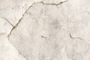White stone background, cross section ,closeup