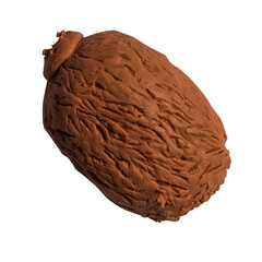 Plasticine illustration, set of fruits, Fresh  kiwi isolated on a white background. Side view. closeup