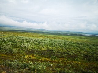 Obraz premium field and blue sky with clouds