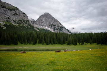 landscape with lake
