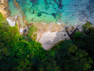 Tropical secret beach hidden in Costa Rica caribbean coast from a drone view.