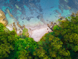 Aerial drone vertical view of a forest meeting the turquoise water of the sea.