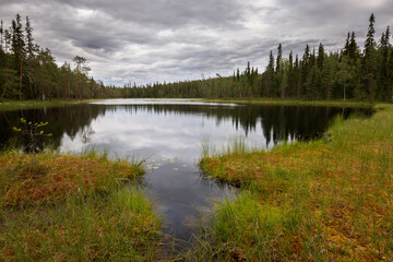 Small calm lake Hiidenlampi with forest in background, Hiidenlampi, Oulanka Nationalpark, Finland