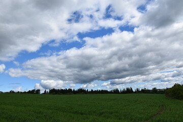 Fototapeta premium A field under a cloudy sky, Sainte-Apolline, Québec, Canada