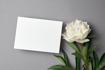 Greeting card mockup with copy space and white peony flowers on grey