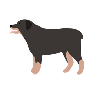 recommend clip art: Isolated vector illustration of a Rottweiler dog