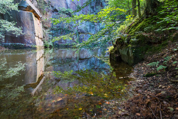 reflection of trees and rocks in calm water of a lake in a remote place in the magical forest