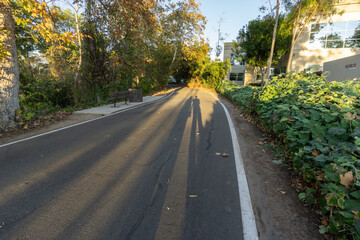 Empty jogging or cycling track at afternoon