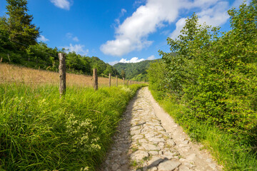 Fototapeta na wymiar Pathway on the Ramaceto Mount trail near the village of Ventarola, Genoa province, Italy