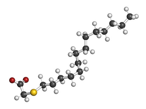 Tetradecylthioacetic acid molecule. 3D rendering.