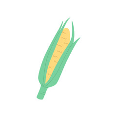 Corn cob isolated on white, cute vector illustration.